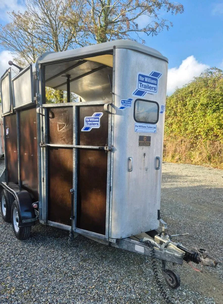 Ifor williams 505 horsebox - Image 1
