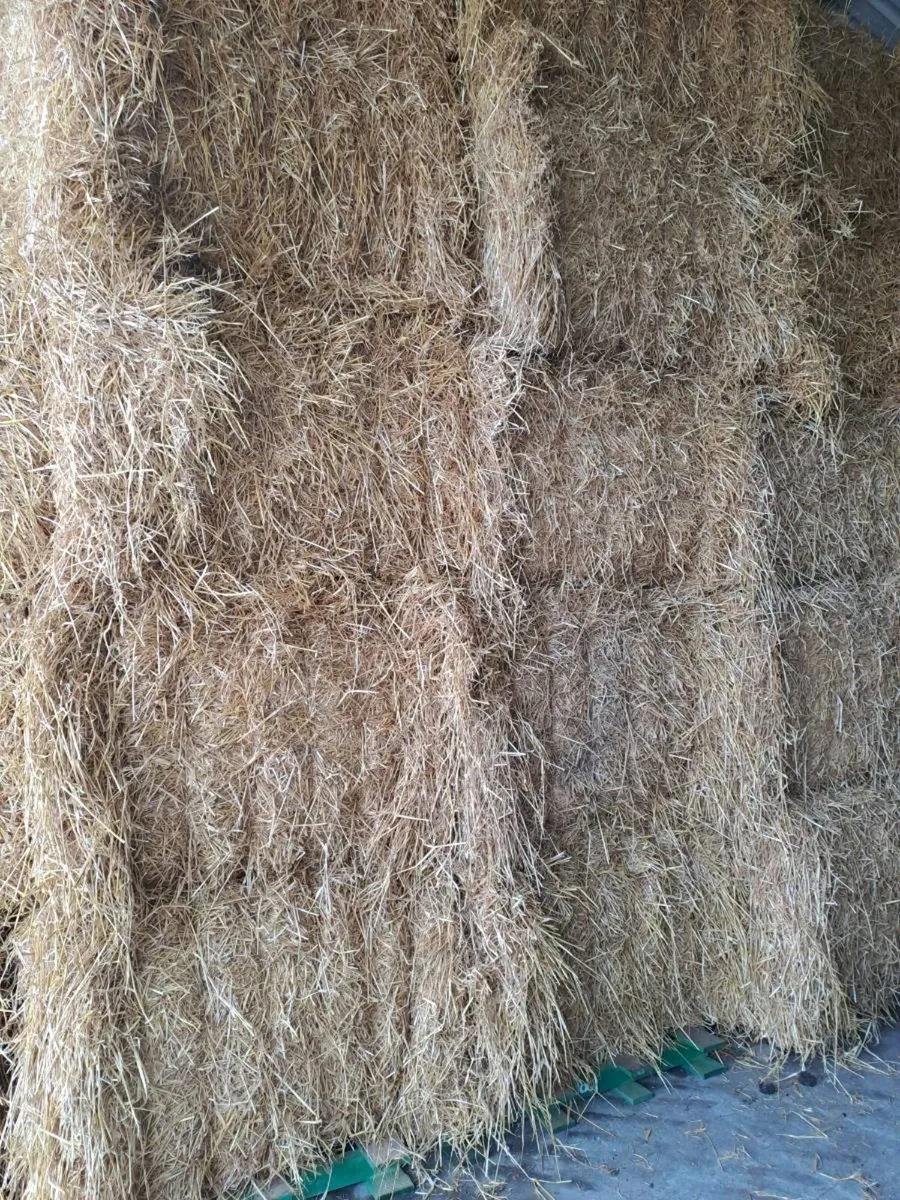 STRAW - Image 1