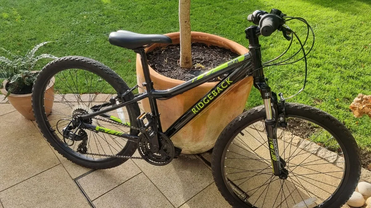 Ridgeback MX24 Bike - Image 1