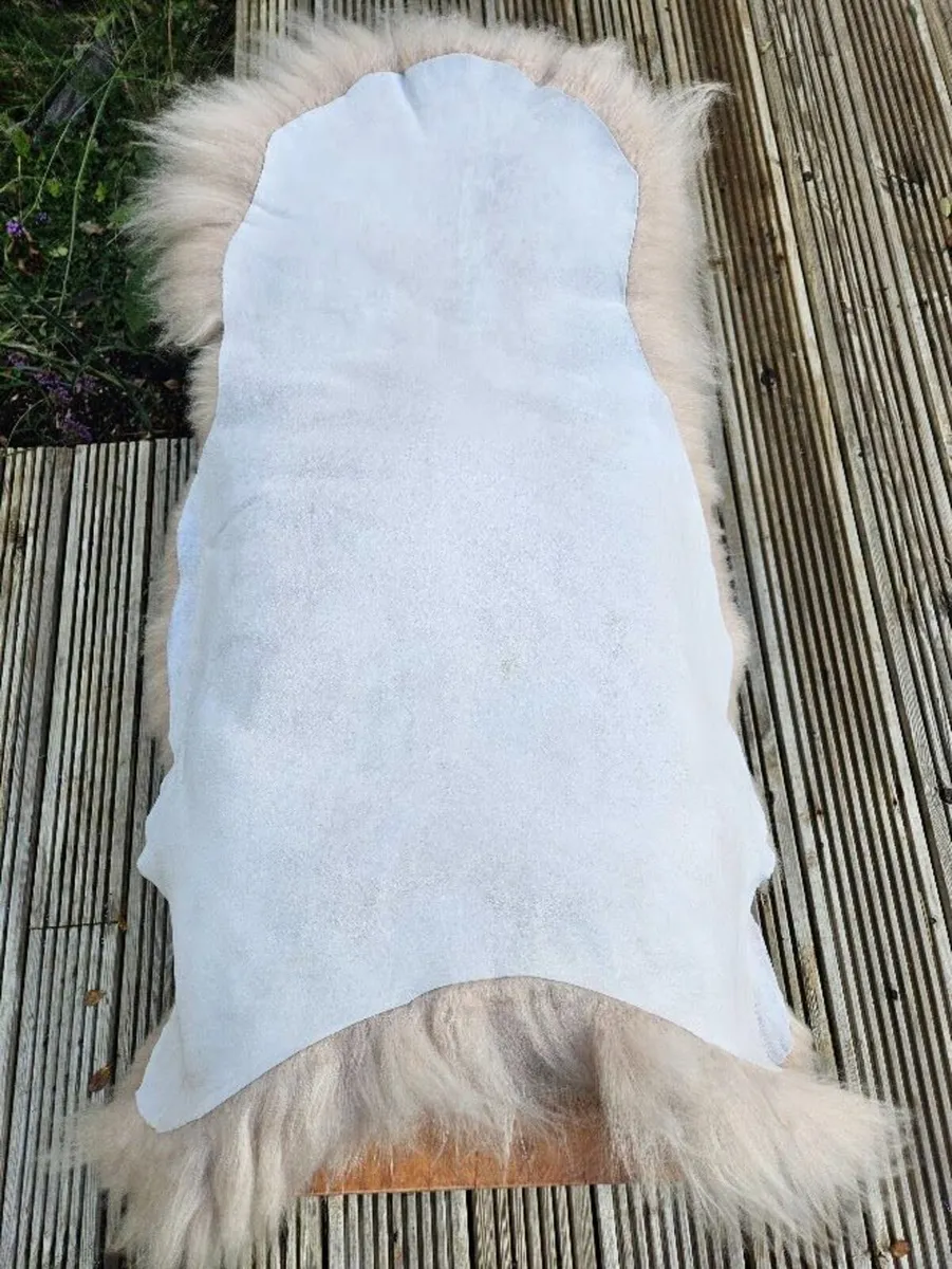 New Light Beige Genuine Sheepskin Rug - Delivered - Image 2