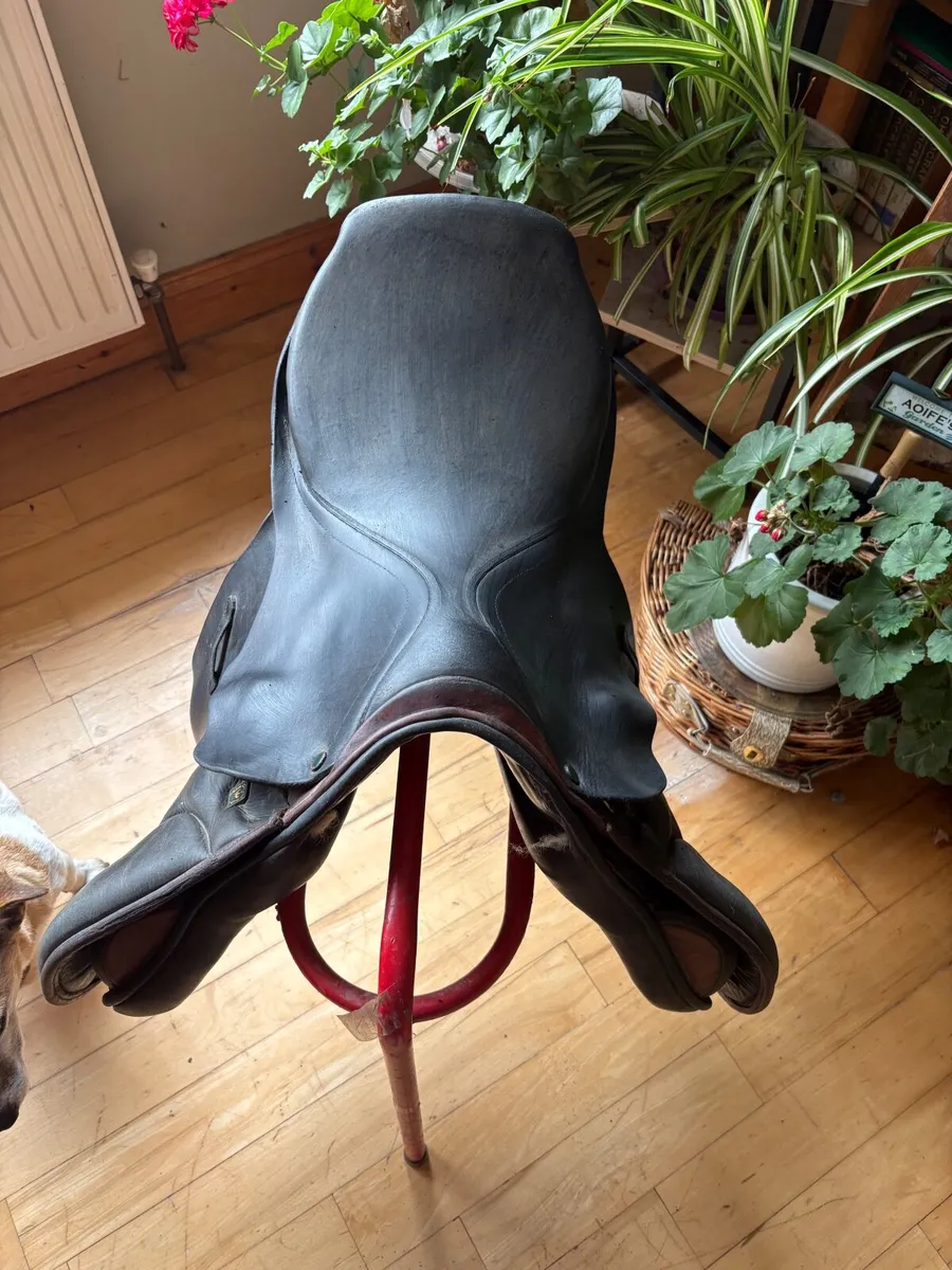 Stubben saddle - Image 1