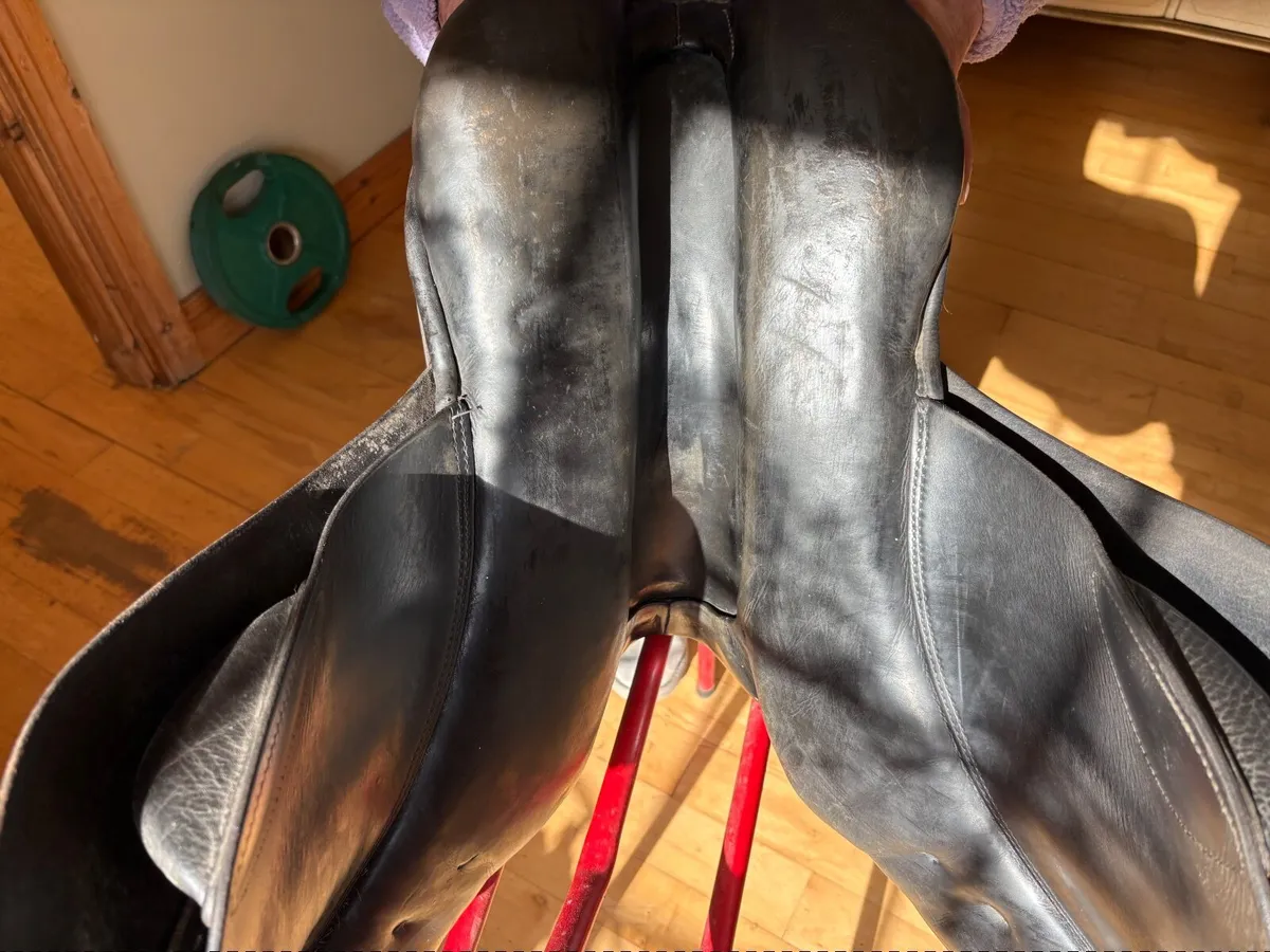 Stubben saddle - Image 4