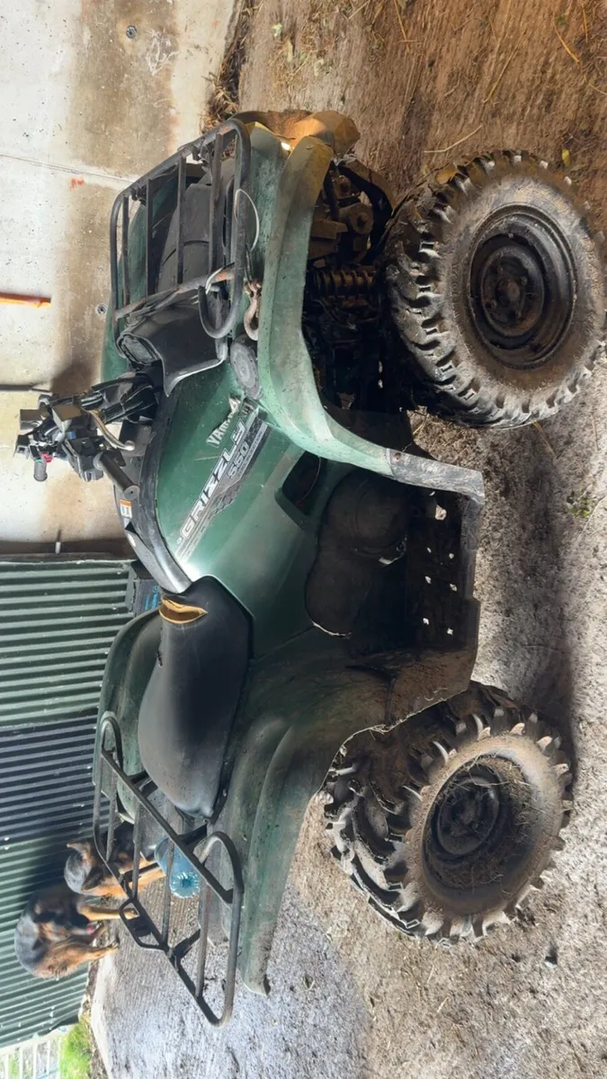 Yamaha grizzly 550 - Image 3