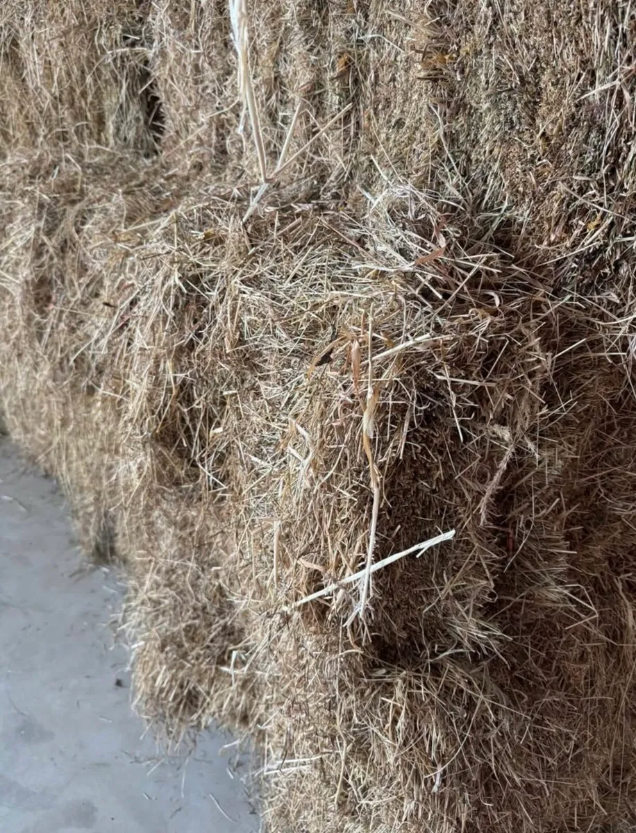 Hay Small Square bales - Image 3