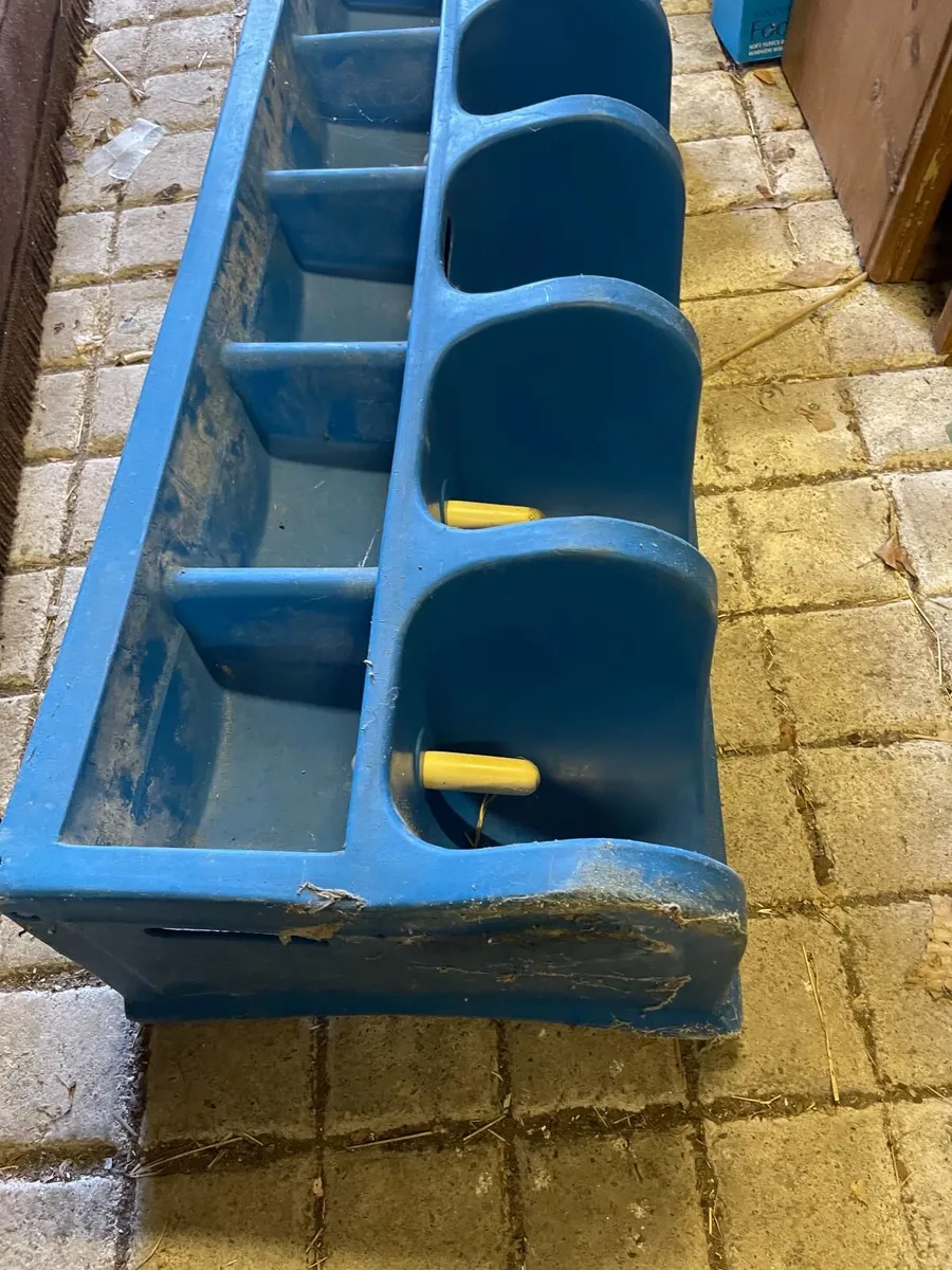 Calf feeder 5 teat + other calf rearing equipment - Image 1