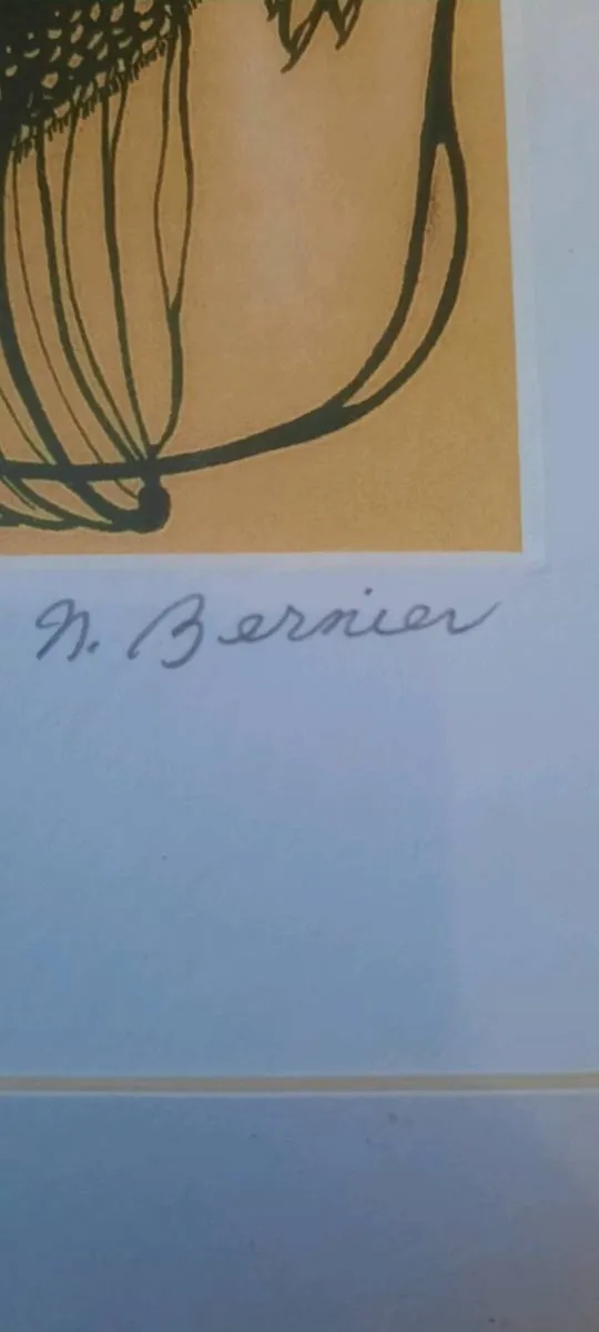 Bernier print - Image 2