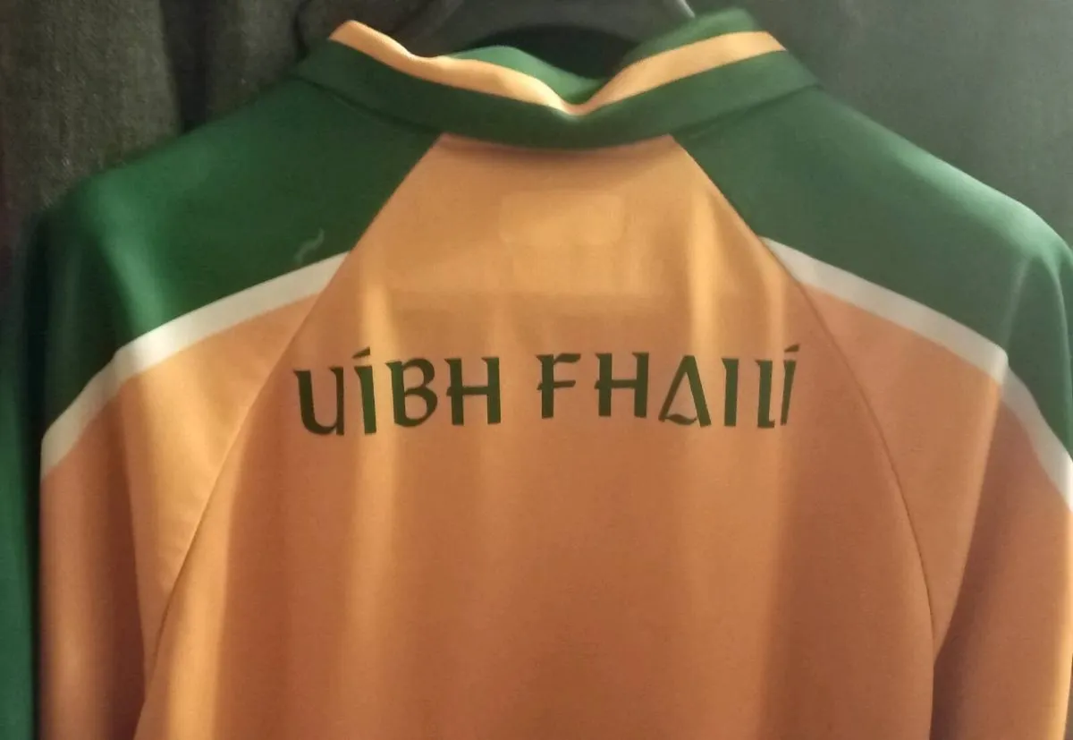 Offaly GAA Jersey 2003/2004 Season - Image 3
