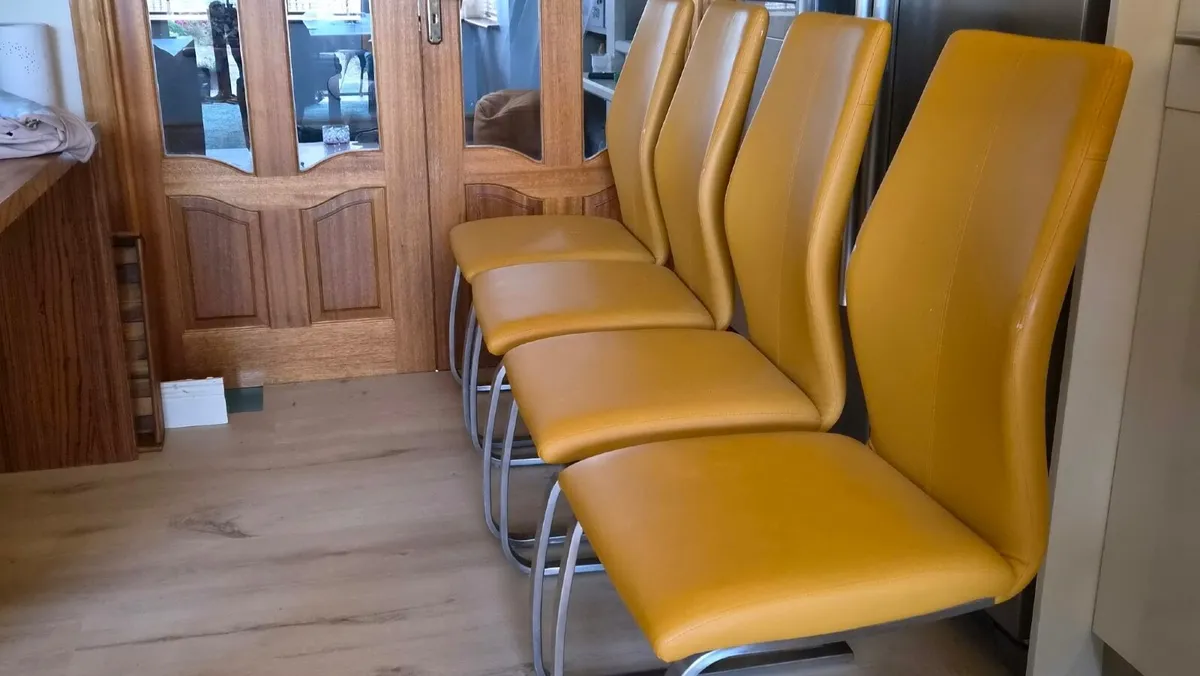 Dining Room/Kitchen chairs - Image 1