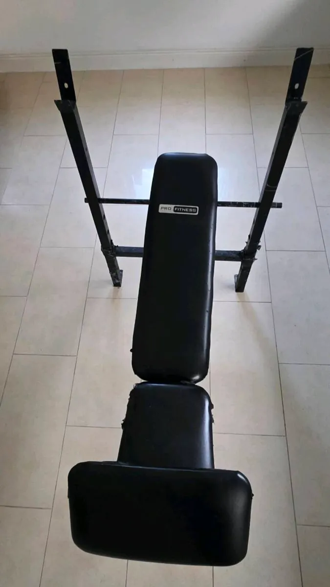 Weights Bench - Image 2