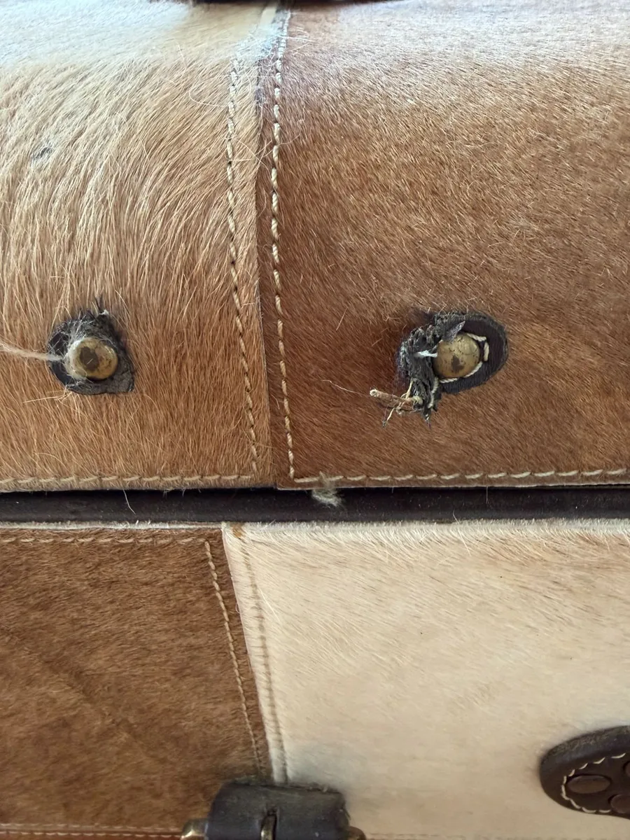 Matching Pair of Cowhide & Leather Storage Trunks - Image 2