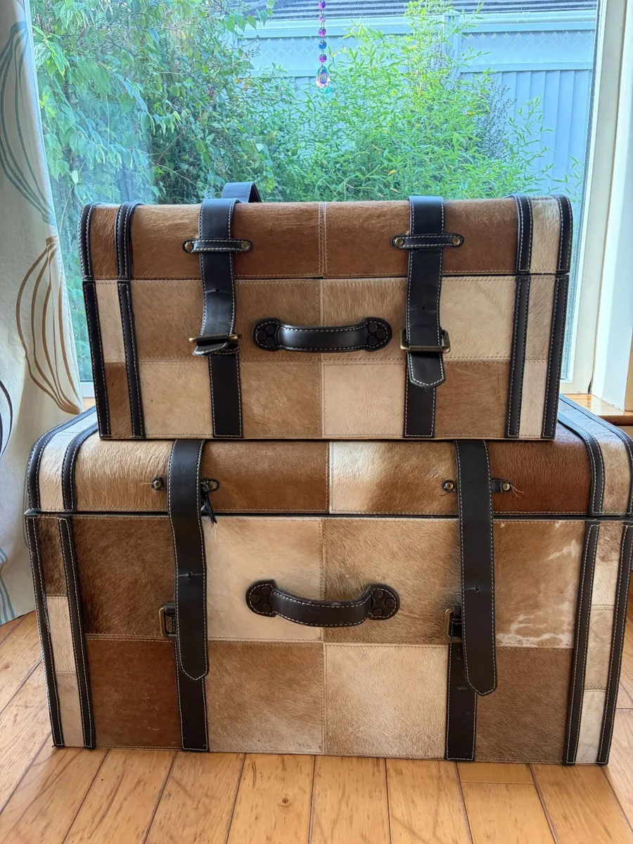 Matching Pair of Cowhide & Leather Storage Trunks - Image 1
