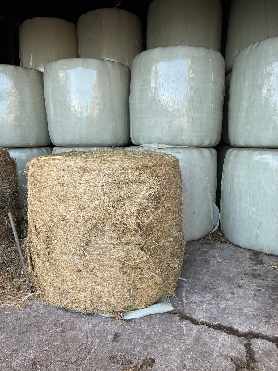 Haylage - Image 2