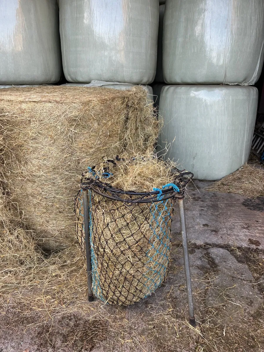 Haylage - Image 3