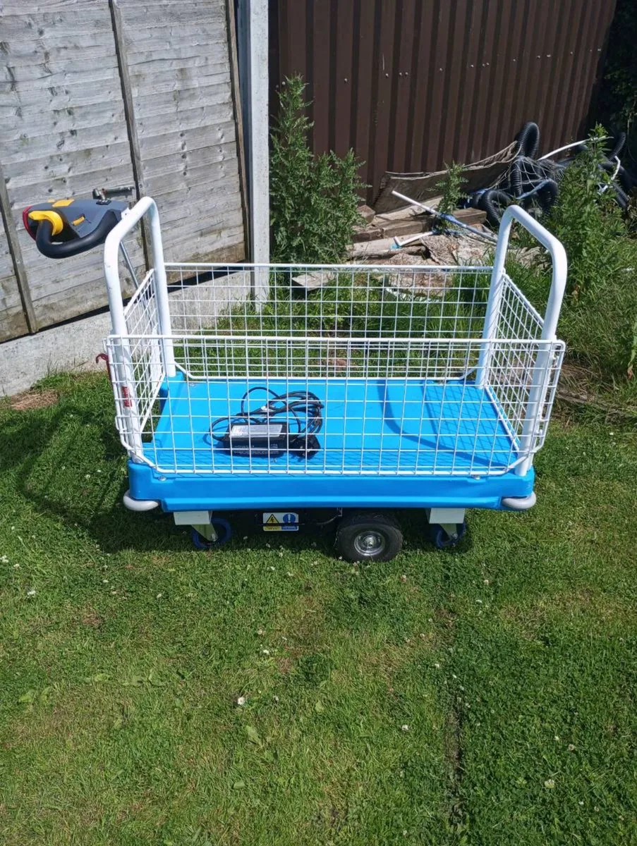 Electric platform/warehouse trolley with mesh side - Image 3