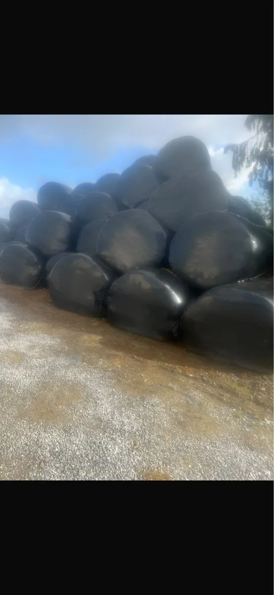 Bales first and second crop