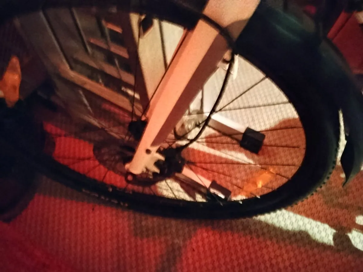 Ladies bike - Image 3