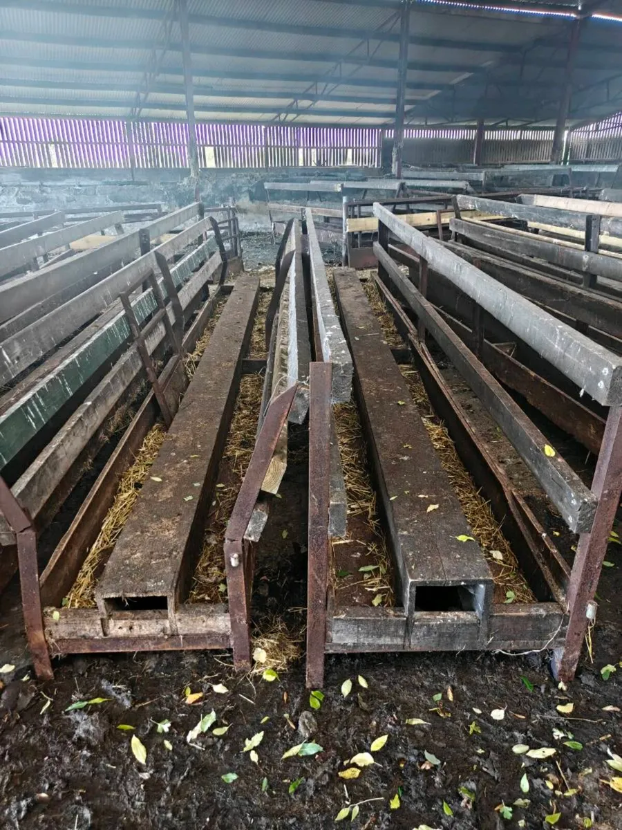 Sheep feeding troughs - Image 1