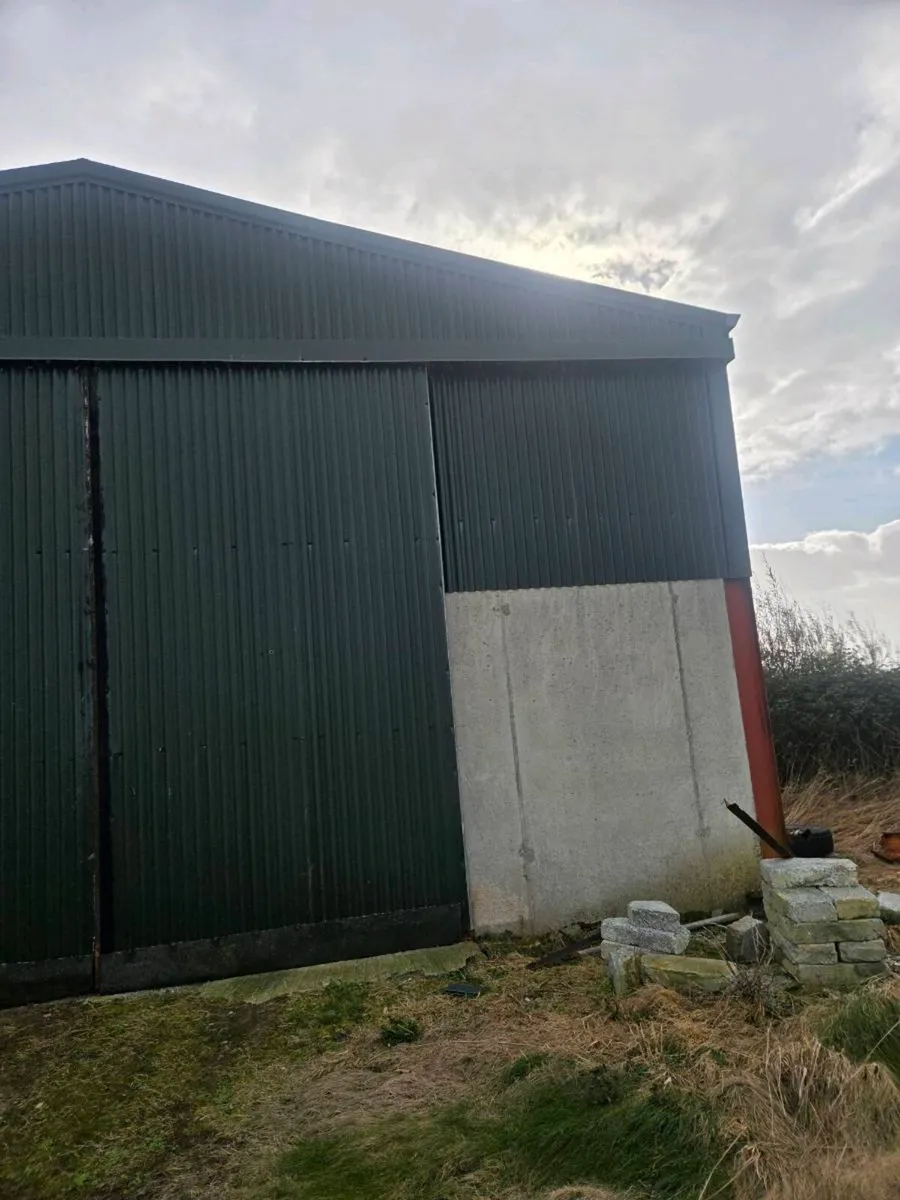 Shed doors - Image 3
