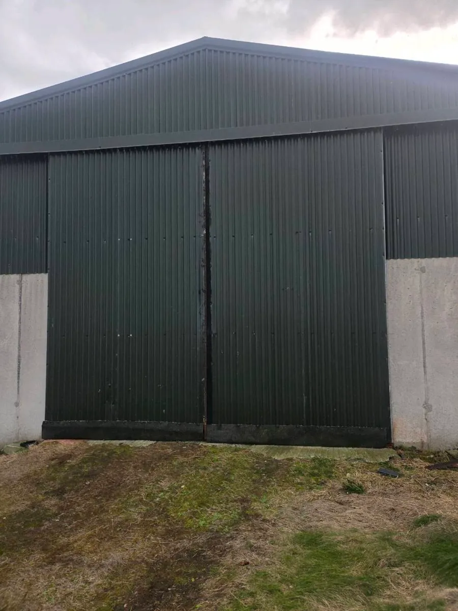 Shed doors - Image 4
