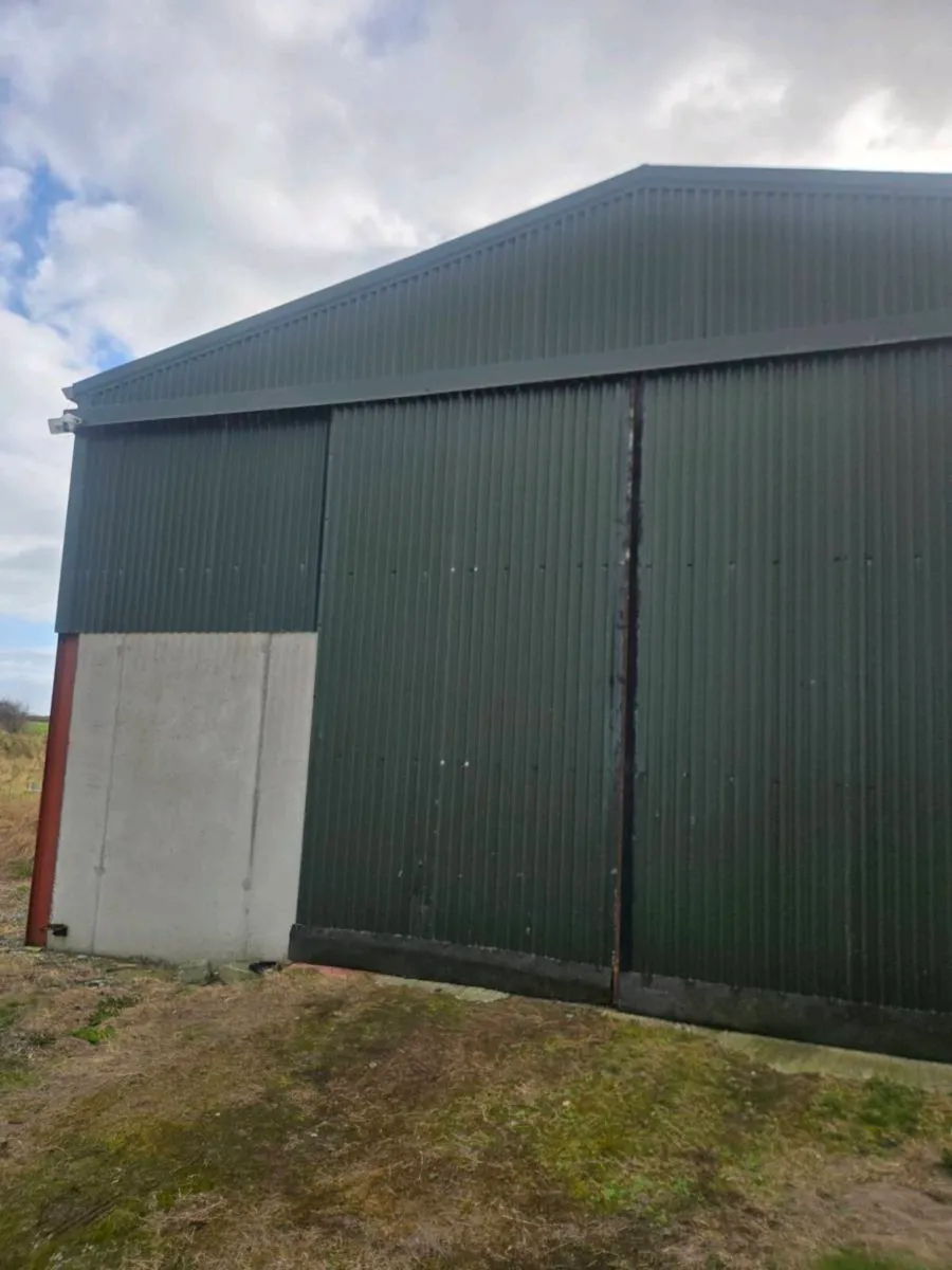 Shed doors - Image 2