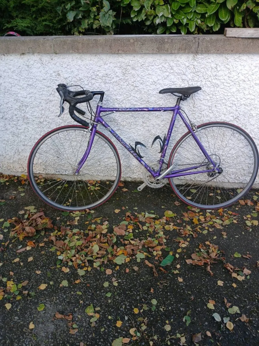 Bicycle - Image 2
