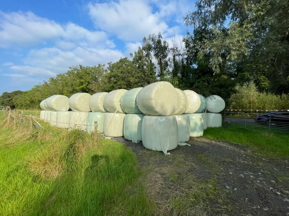 Haylage - Image 1