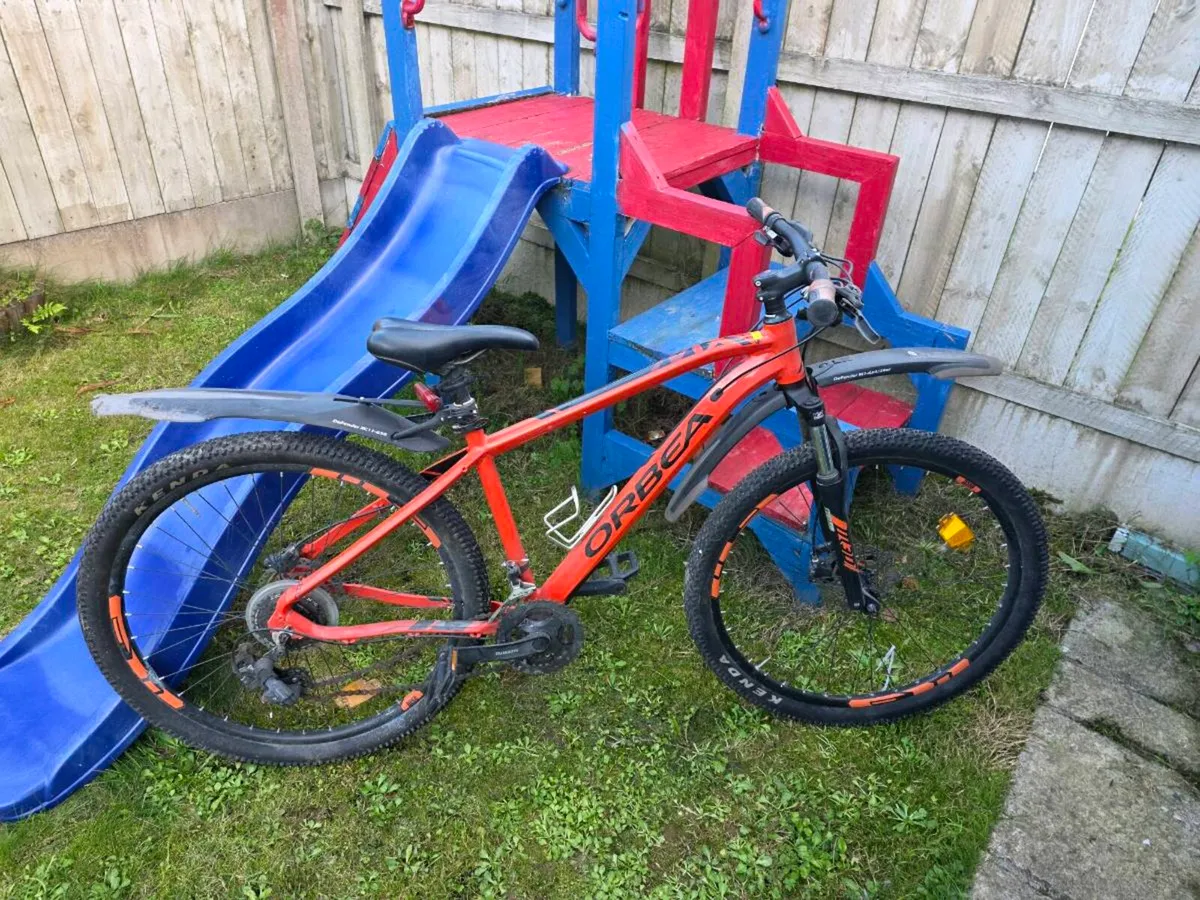Orbea bicycle