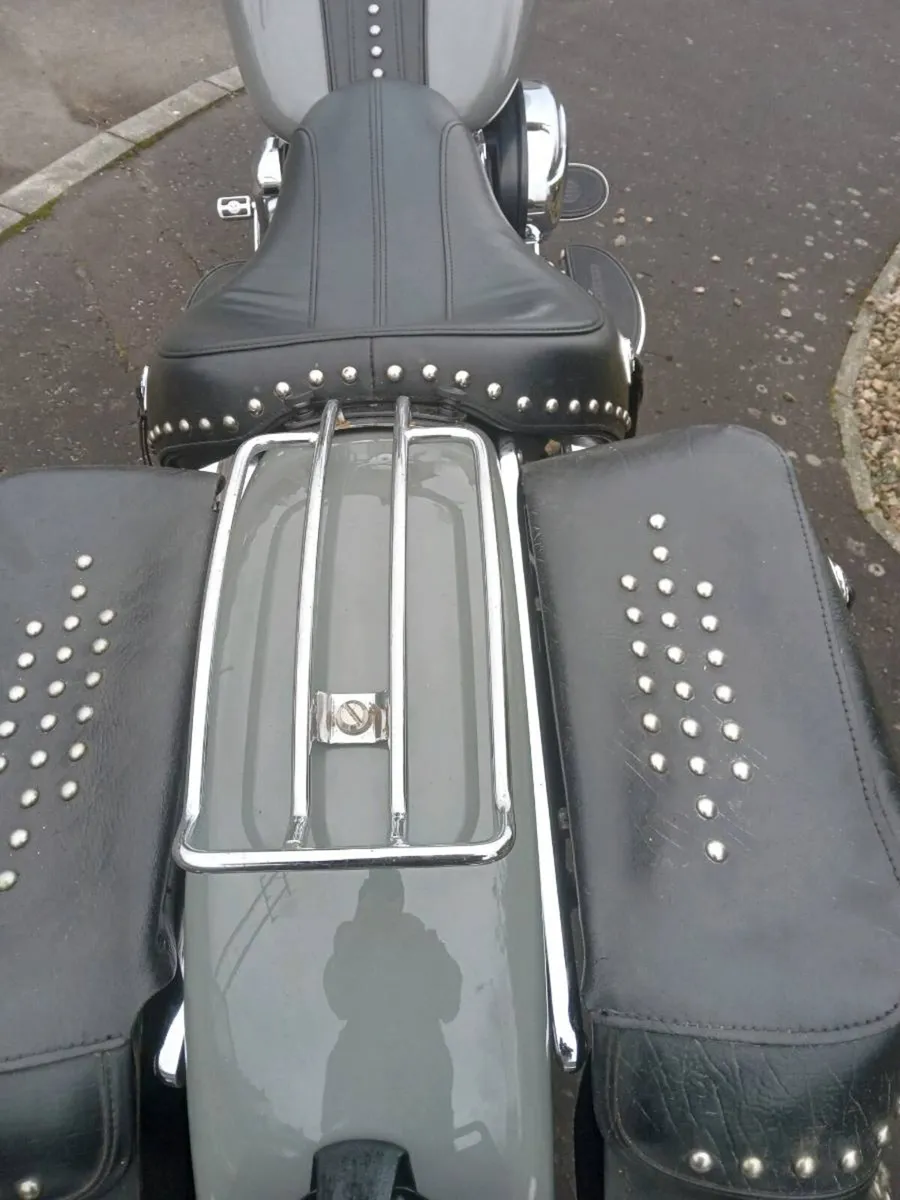 Harleys - Image 4