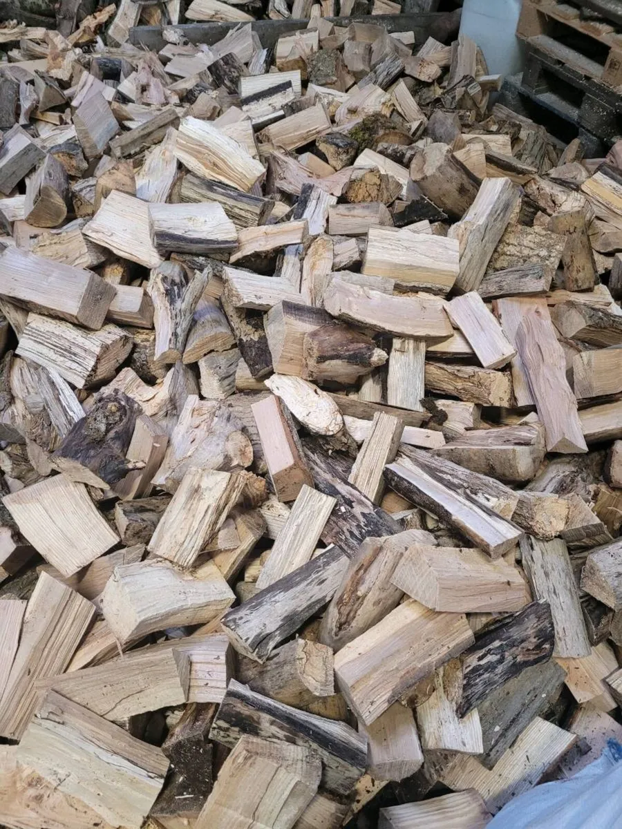 Timber firewood - Image 1