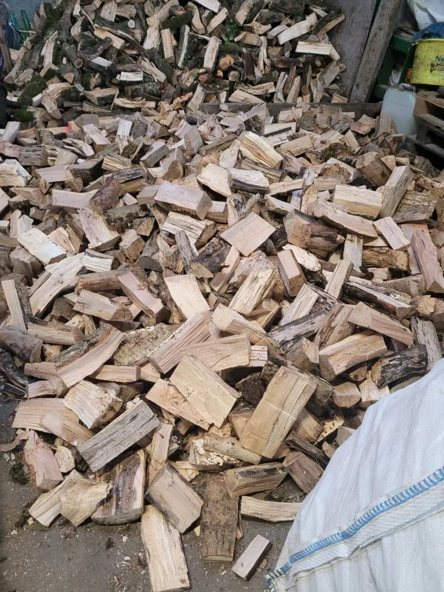 Timber firewood - Image 2