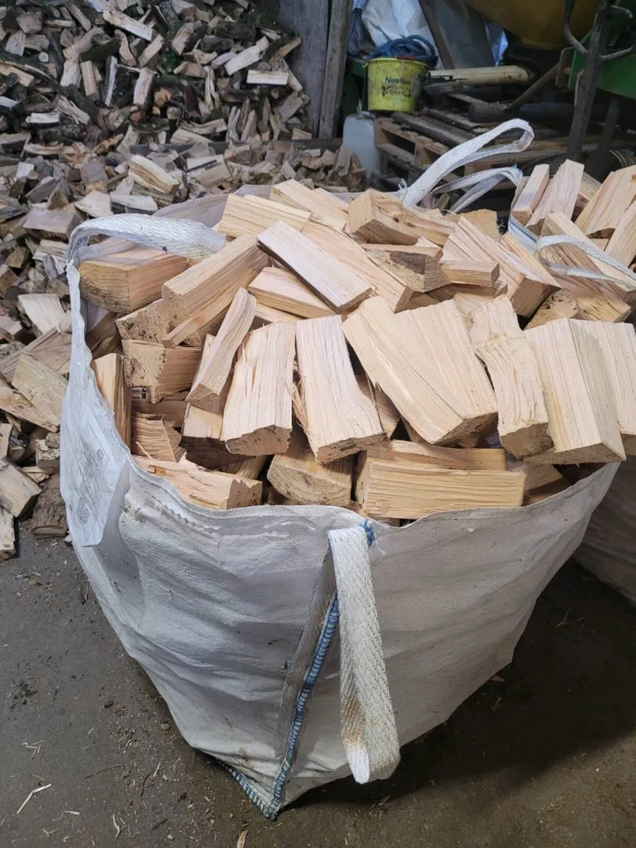 Timber firewood - Image 3