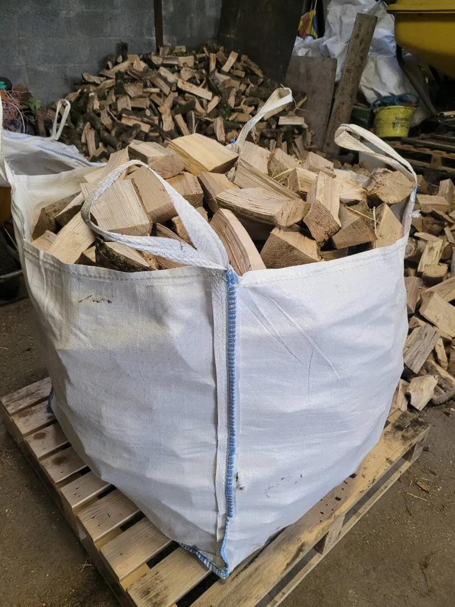 Timber firewood - Image 4
