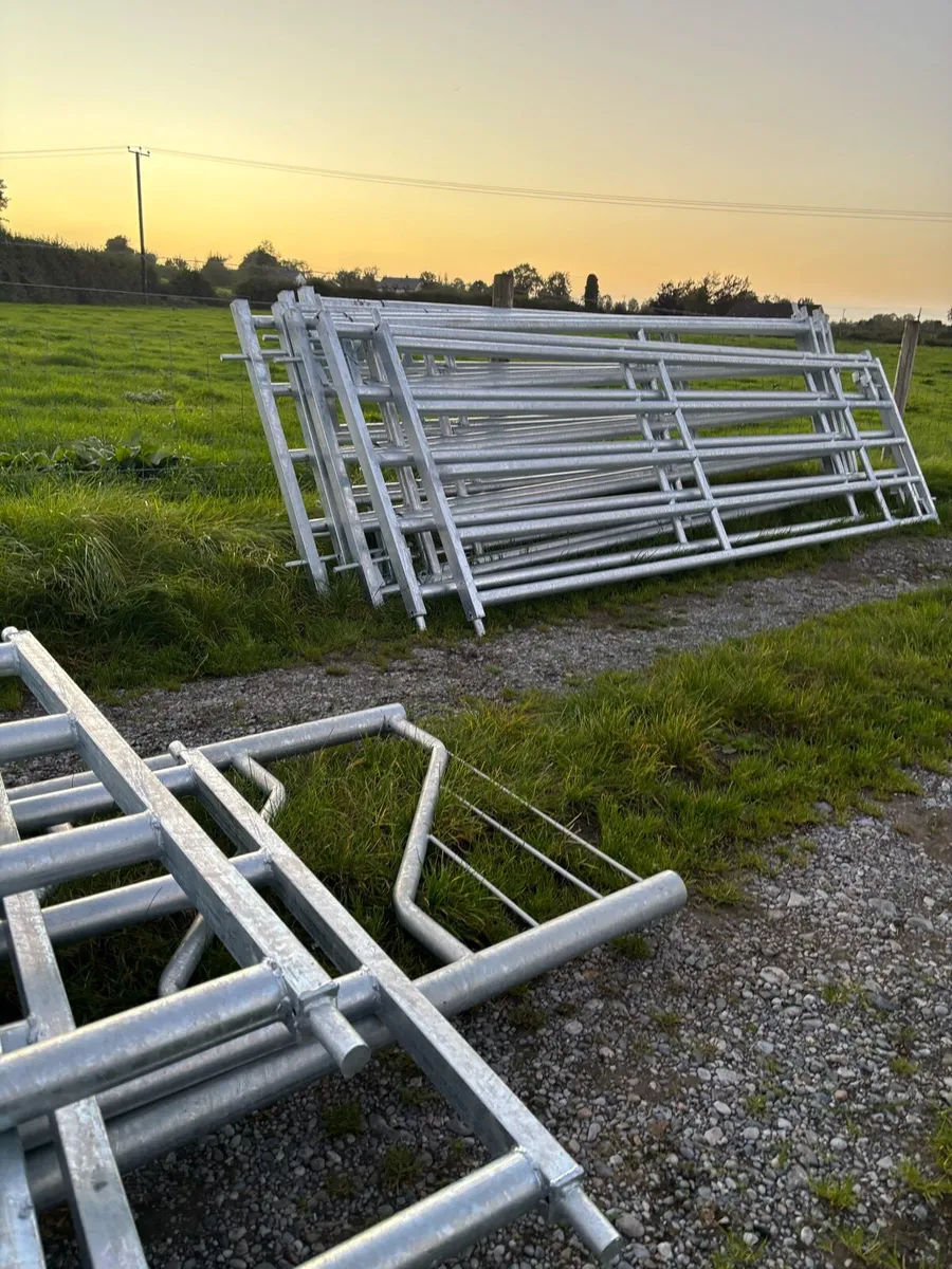 Farm Gates - Big Sale - Image 4