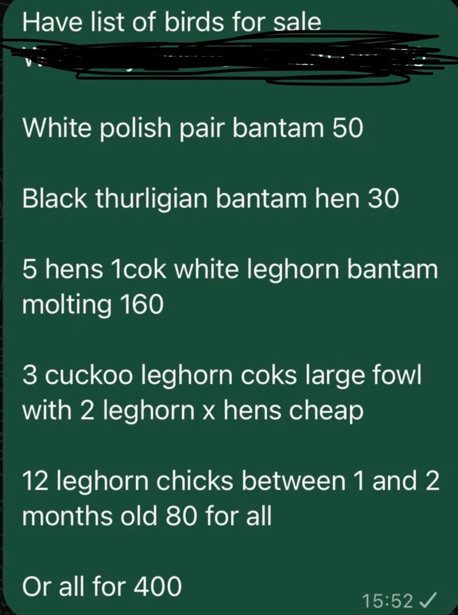 Must read cheap birds 320 for the lot