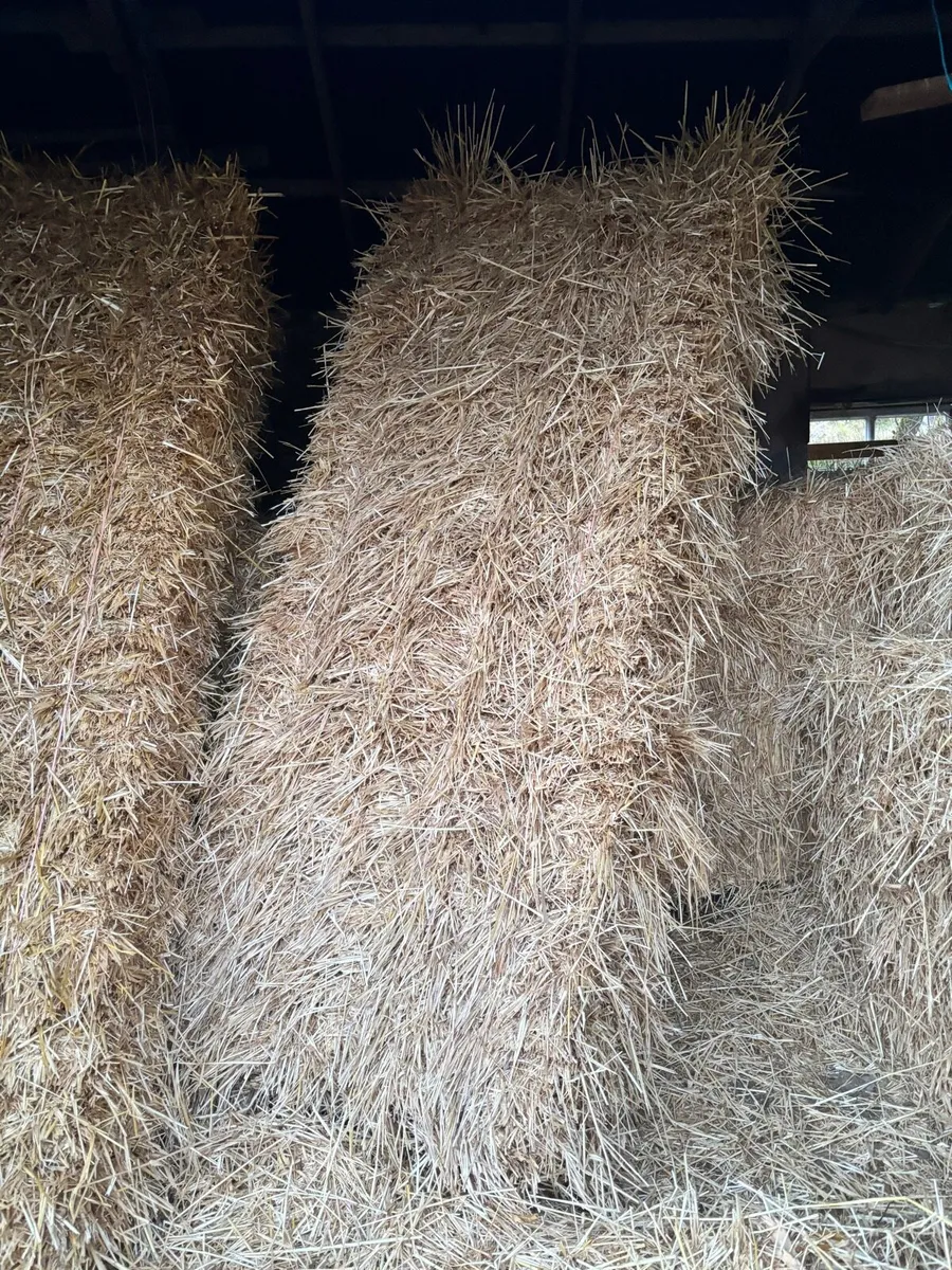 Straw - Image 1
