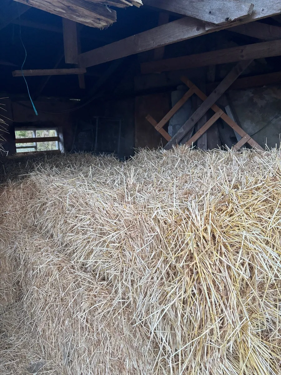 Straw - Image 2