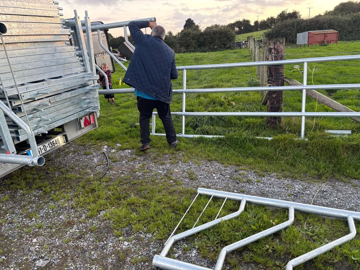 Farm Gates - Sale On - Free Delivery - Image 3