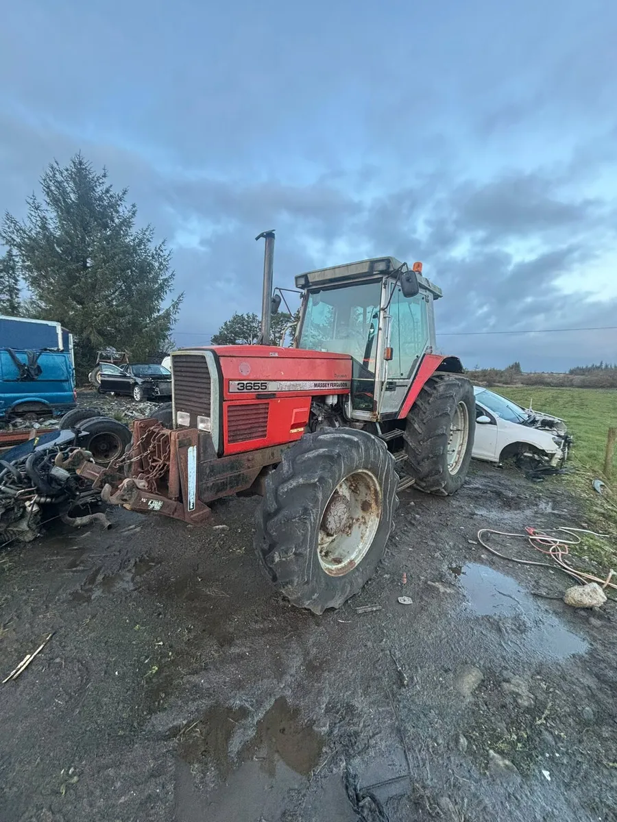 1993 Massey Ferguson 3655  4wd - Image 2
