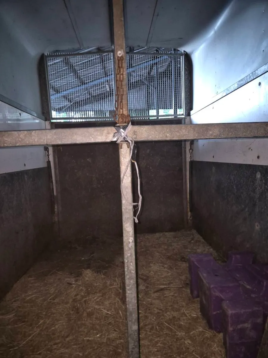 Horsebox - Image 4