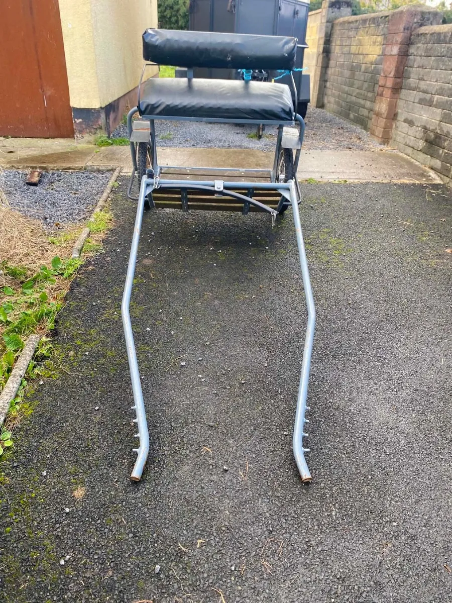Road cart and harness - Image 1