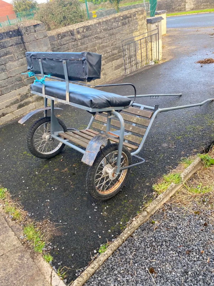 Road cart and harness - Image 2