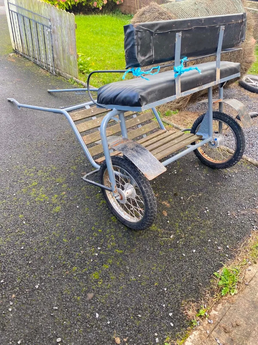 Road cart and harness - Image 3