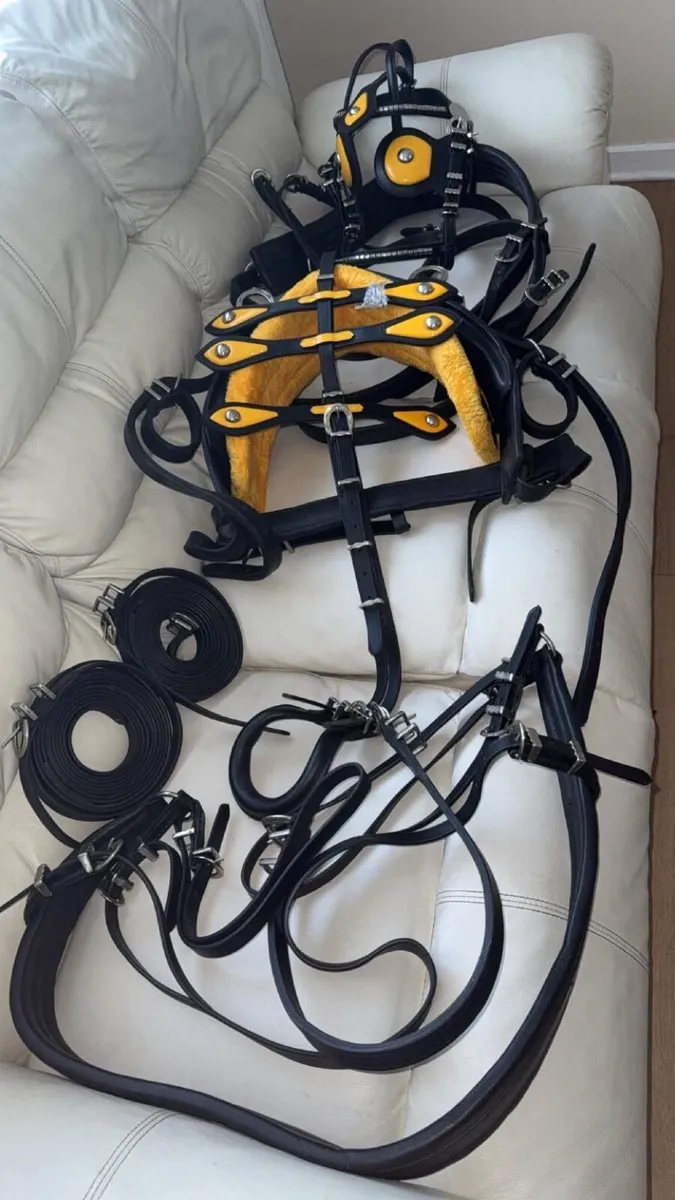 Road cart and harness - Image 4