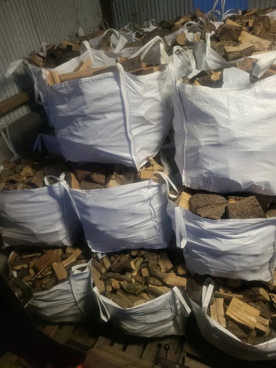 Firewood - Image 1
