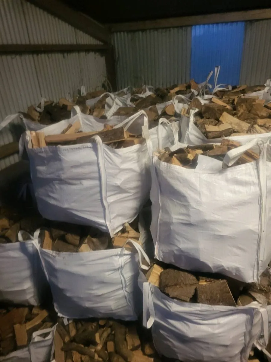 Firewood - Image 2
