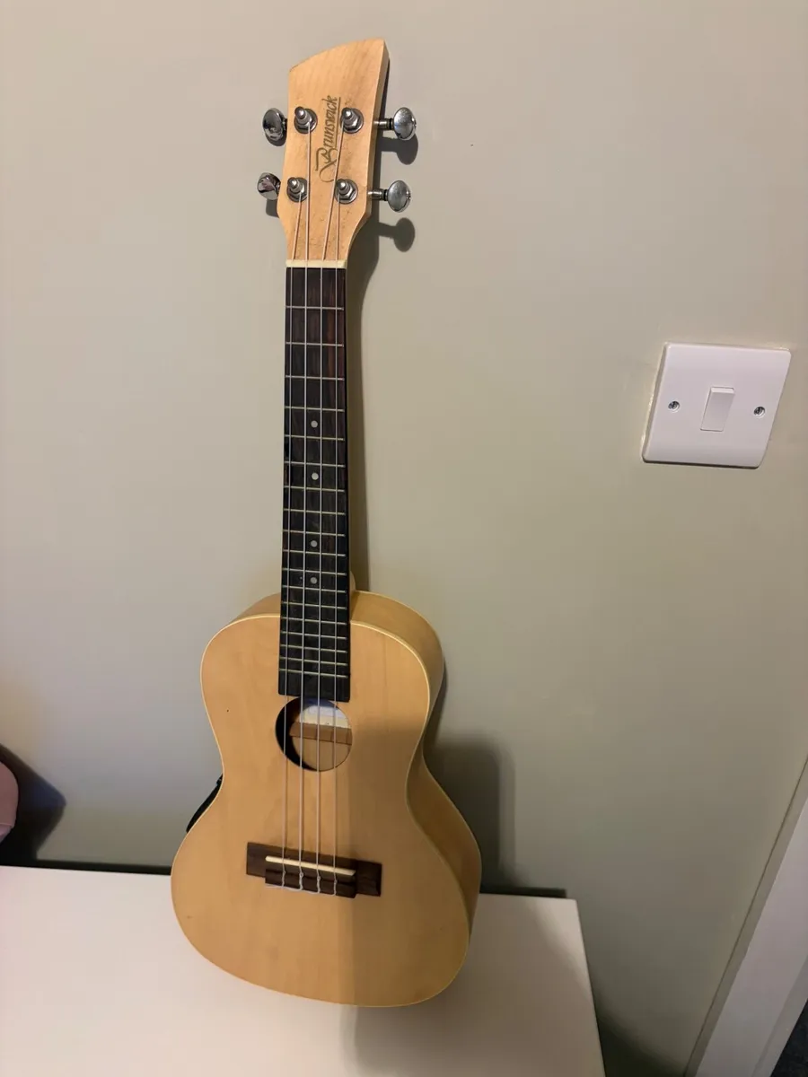 Ukulele - Concert Electric/ Electro - Image 1