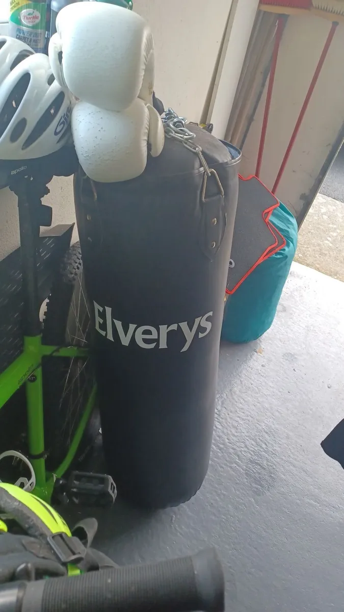 Boxing punch bag and gloves - Image 2
