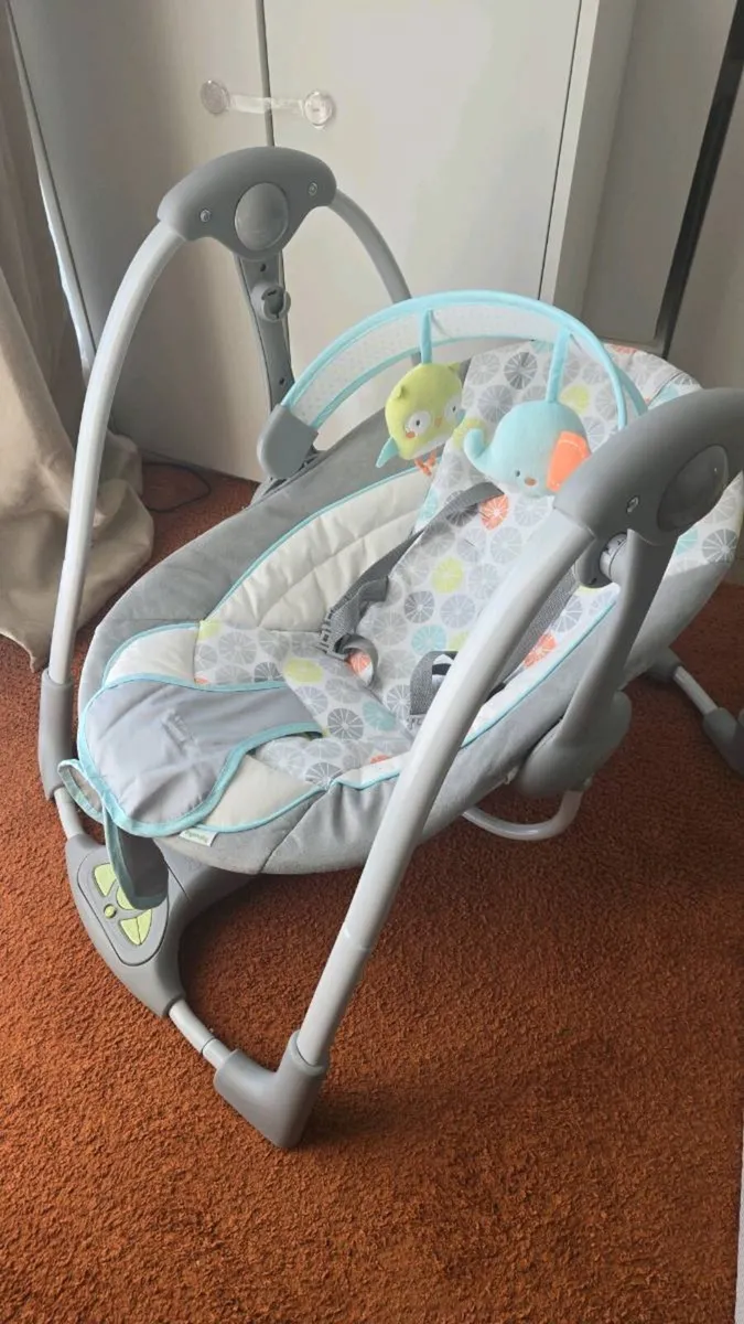 Baby Swing Ingenuity