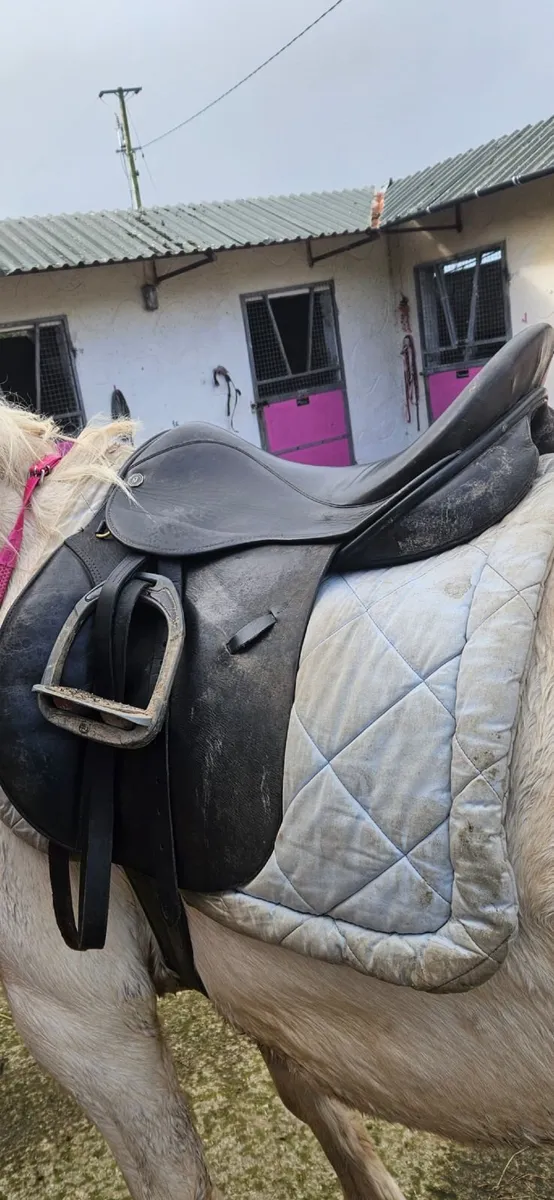 Horse saddle - Image 2
