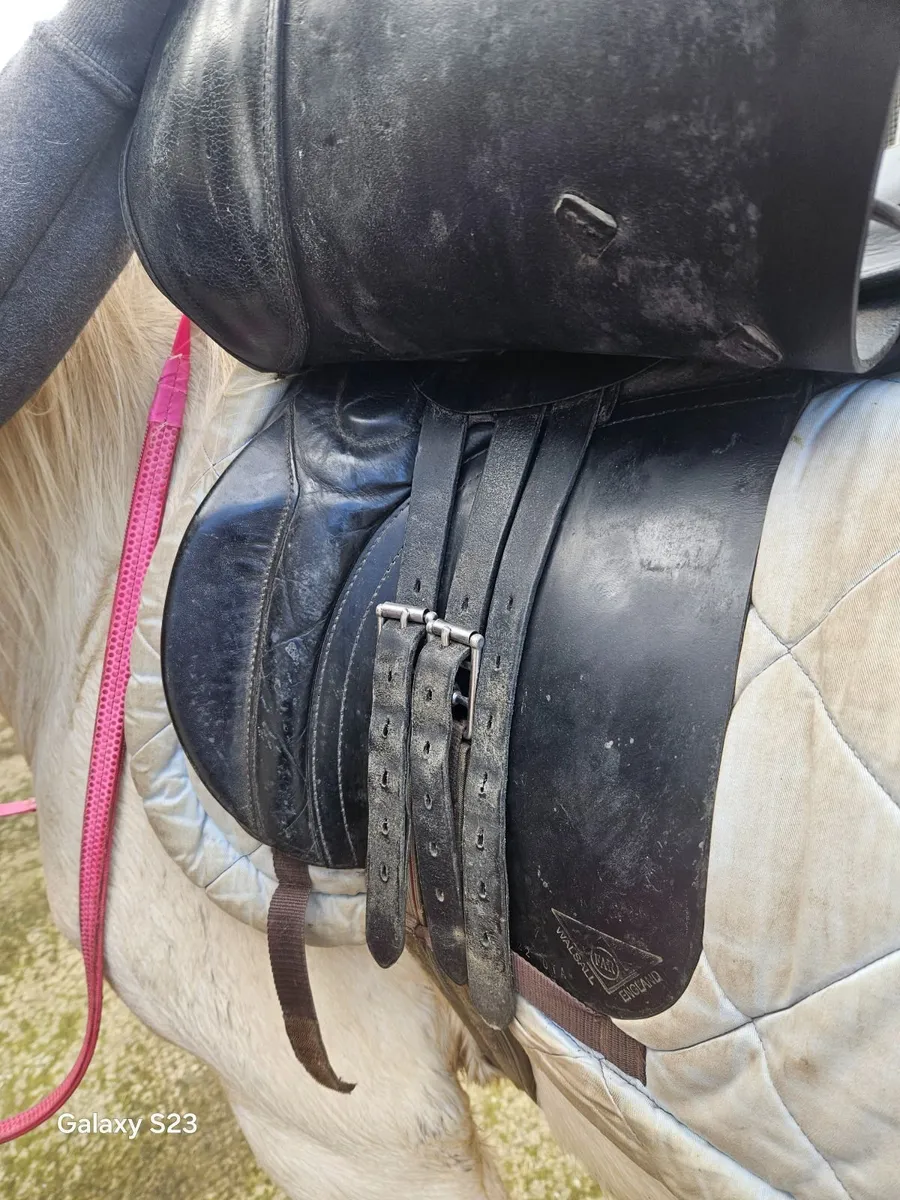 Horse saddle - Image 3